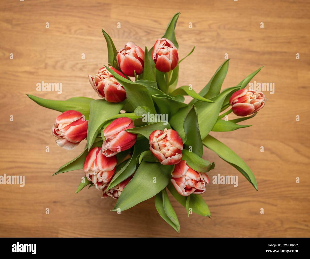 tulipani in vaso fotografati dall'alto. Decorazioni interne casalinghe su un tavolo in legno rustico. Foto: Bo Arrhed Foto Stock