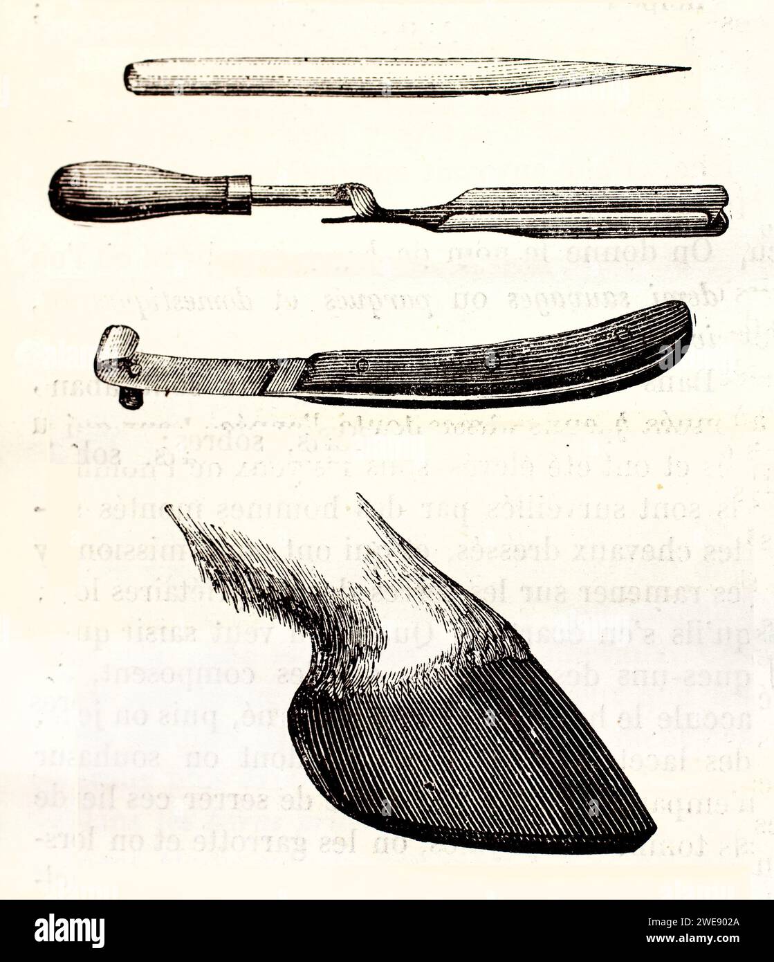 Illustrazione vintage dettagliata di attrezzi più lontani e anatomia dello zoccolo, isolata su sfondo bianco. Pubblicato nel 1878. Foto Stock