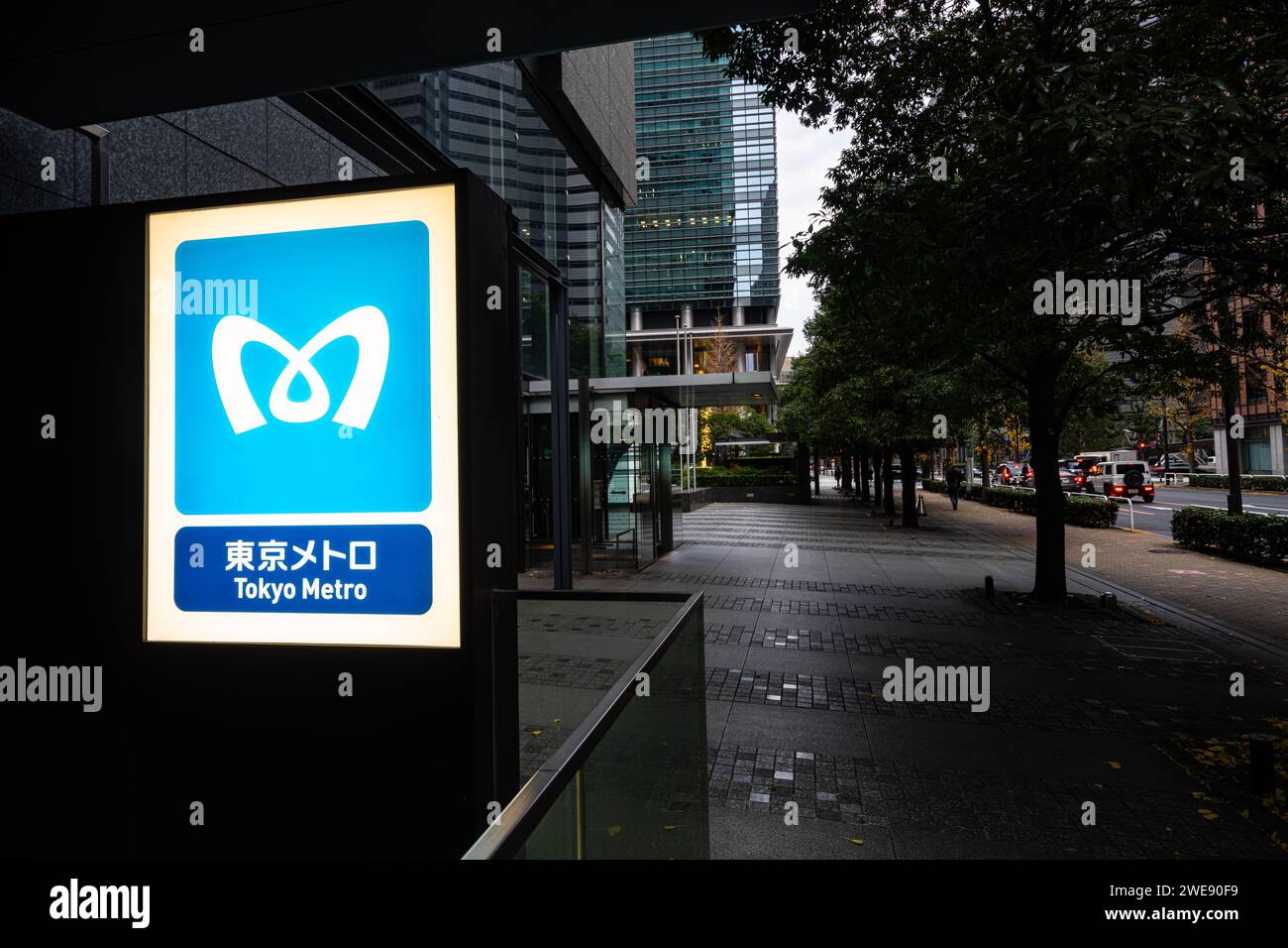 Tokyio, Giappone. Gennaio 2024. L'insegna illuminata con il simbolo della Tokyo Metro in una stazione nel centro della città Foto Stock