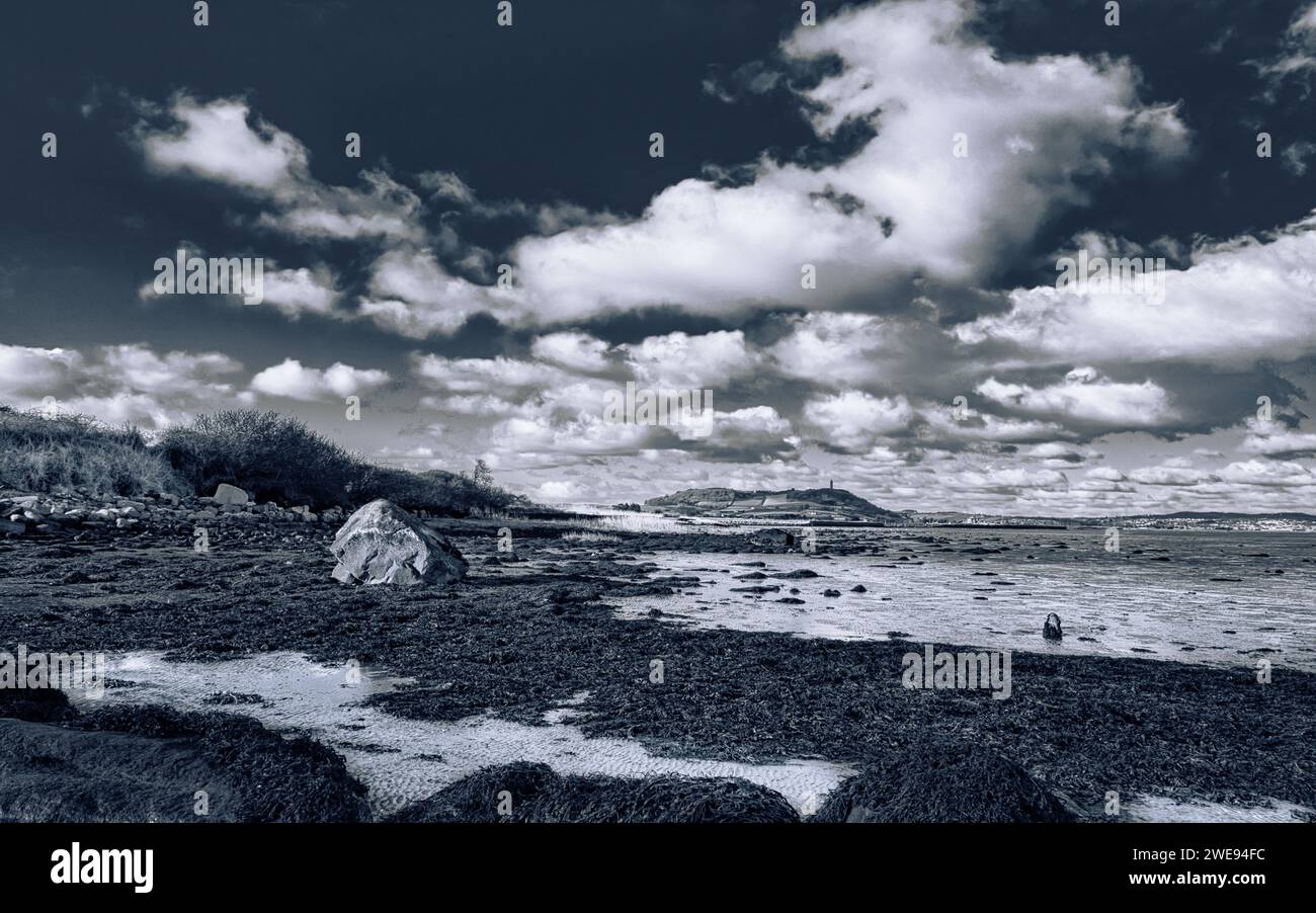 Scrabo Hill e Scrabo Tower viste dall'altra parte della testa di Strangford Lough durante la bassa marea da Island Hill, County Down, Irlanda del Nord Foto Stock