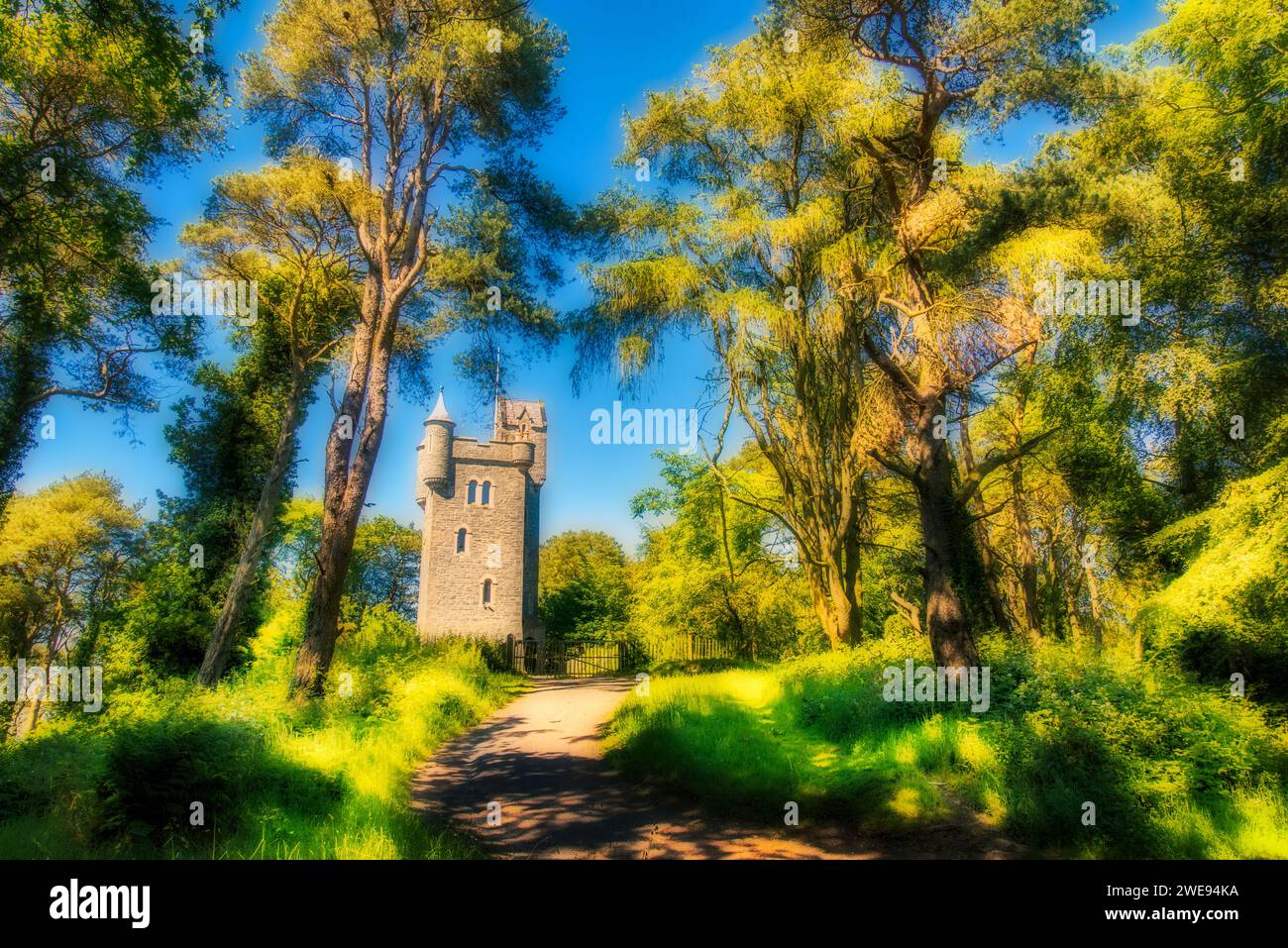 Helen's Tower, Clandeboye Wood, Bangor, County Down, Irlanda del Nord. Foto Stock