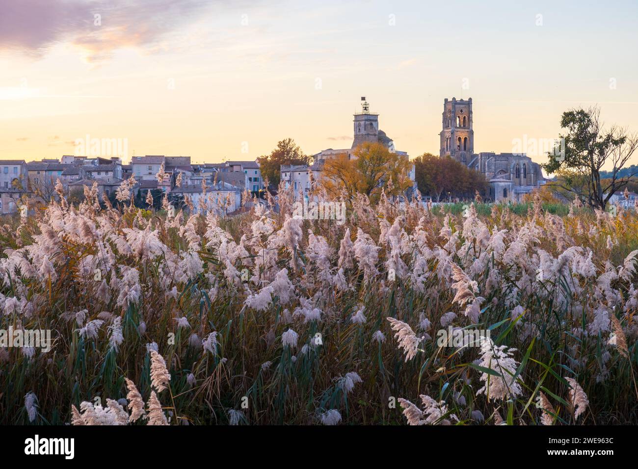 Pont-Saint-Esprit sul fiume Rodano in Occitanie. Fotografia scattata in autunno in Francia Foto Stock