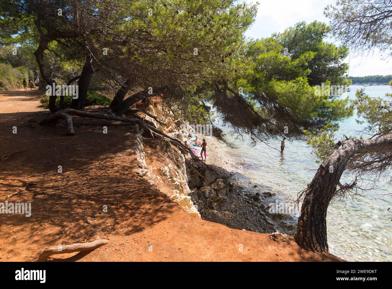 Vista sul mare di Île Sainte-Marguerite / Isola di Saint Marguerite con splendida spiaggia costiera / spiagge visitate dai turisti per nuotare e prendere il sole / prendere il sole. Francia (135) Foto Stock