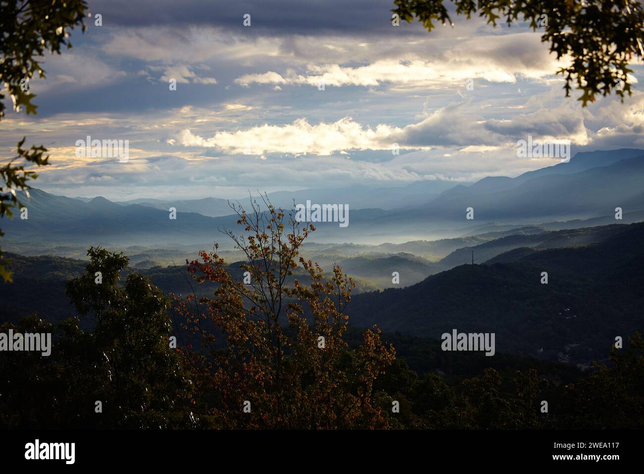 Autunno bagliore sulle Smoky Mountains Misty Peaks - Serene Landscape View Foto Stock