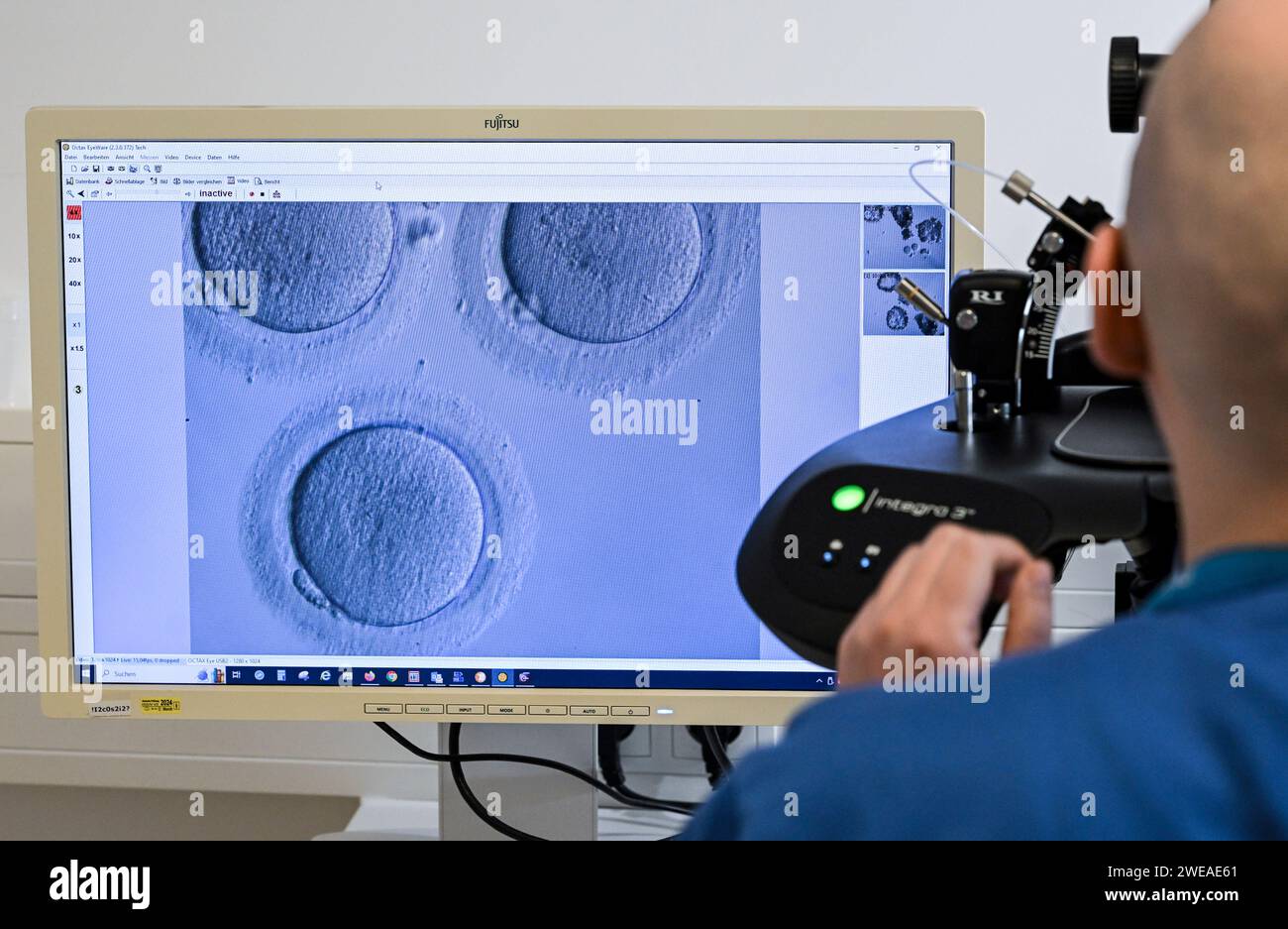 PRODUZIONE - 17 gennaio 2024, Berlino: Nel laboratorio cellulare del Fertility Center Berlin, viene utilizzato un microscopio elettronico per fertilizzare una cellula uovo. Foto: Jens Kalaene/dpa Foto Stock