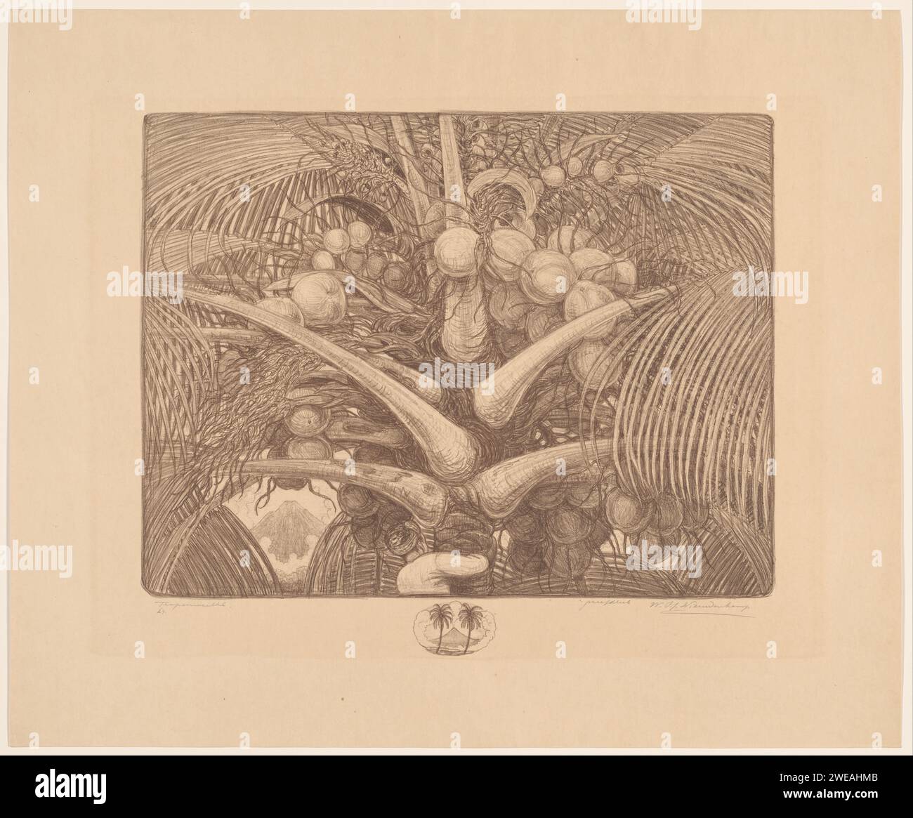 Cima di una palma da cocco, Wijnand otto Jan Nieuwenkamp, 1918 alberi di carta stampata: Palma da cocco delle Indie orientali olandesi, il Foto Stock