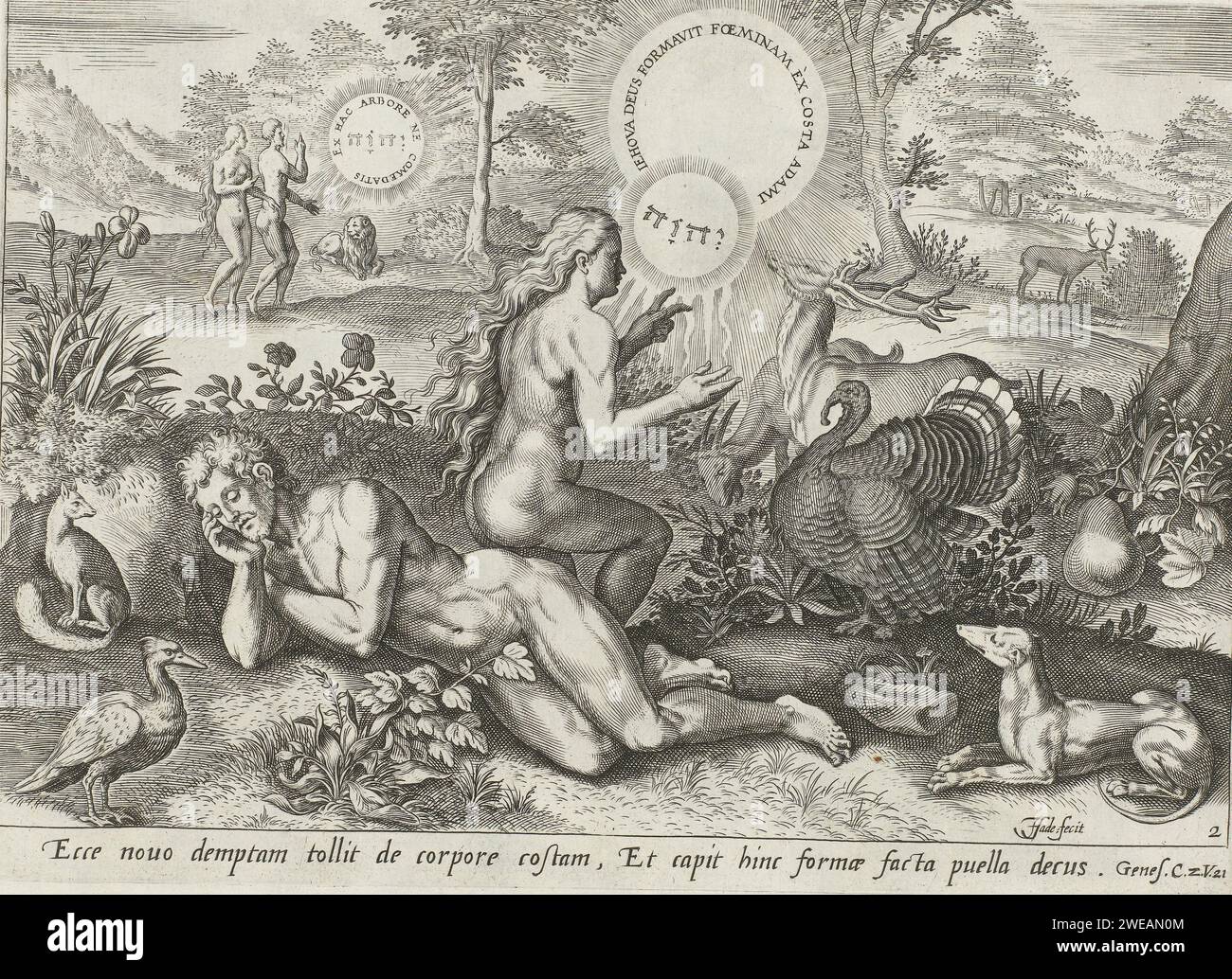 Creazione di Eva, 1643 stampa Dio il padre in forma di Tetragram crea Eva dal lato dell'Adamo addormentato. A sinistra sullo sfondo, Dio Adamo ed Eva indica l'albero della conoscenza del bene e del male. Un cane a destra in primo piano. In fondo un riferimento al testo biblico in latino. Questa stampa fa parte di un album. L'incisione di carta di Amsterdam Eva emerge dal corpo di Adamo. Il comandamento di prova: Dio avverte Adamo ed Eva di non mangiare dall'albero della conoscenza del bene e del male. Tetragramma (in alfabeto romano o ebraico)  simbolo di Dio padre Foto Stock