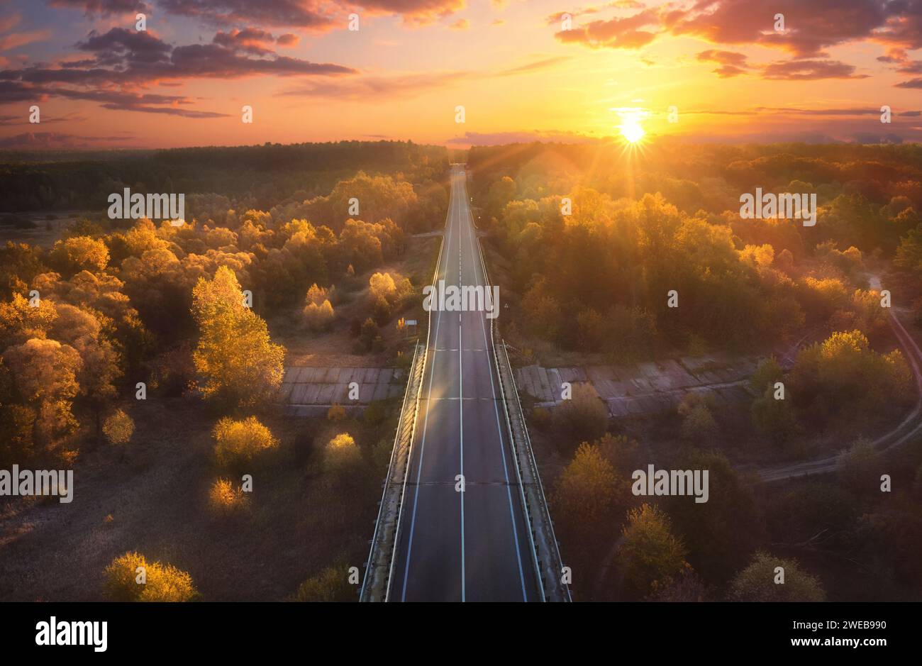 Strada che passa attraverso la foresta autunnale con il fogliame giallo all'alba. Vista aerea. La luce solare illumina le cime degli alberi. Foto Stock