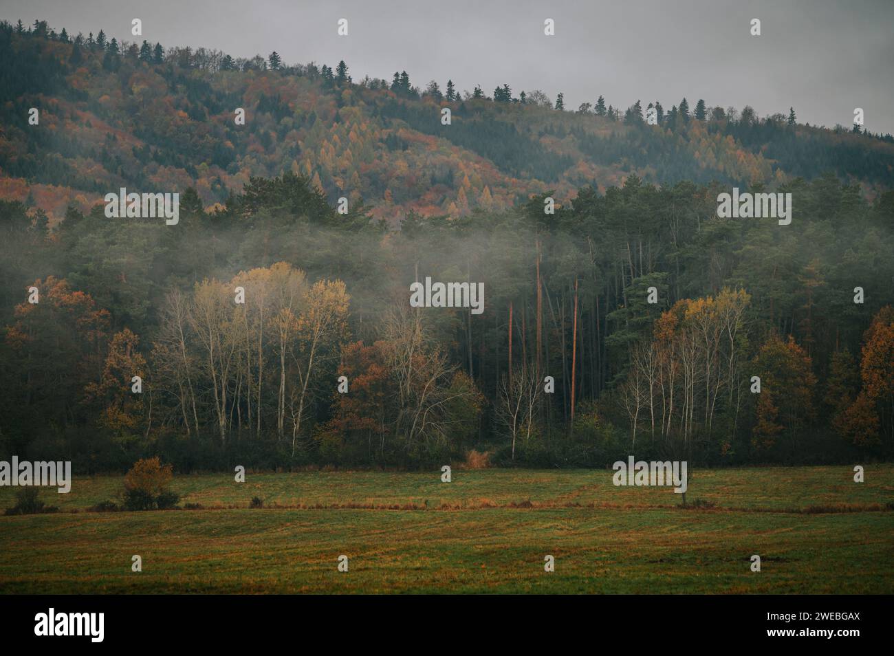 Un'ambientazione eterea: La bellezza isolata di un'alba nebbiosa d'autunno sul bordo della desolazione Foto Stock
