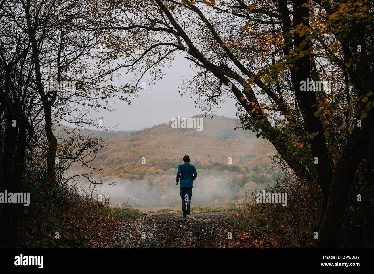 Il viaggio di Young Trail Runner attraverso la Sindone sussurrante dell'autunno Foto Stock