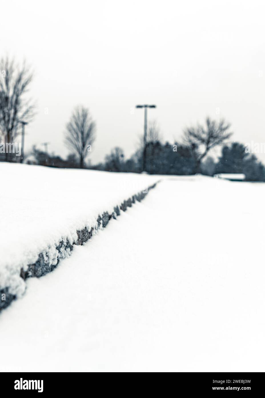 Ambiente invernale freddo con neve che copre il terreno con alberi sullo sfondo Foto Stock