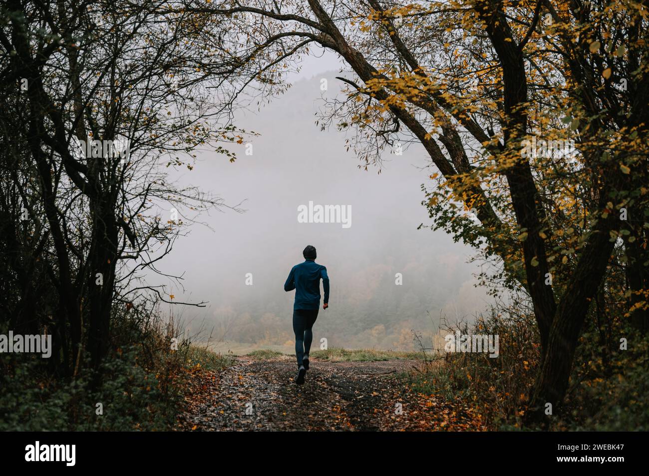 Un giovane Runner perduto nell'incantevole Grigio Veil of Fall Foto Stock