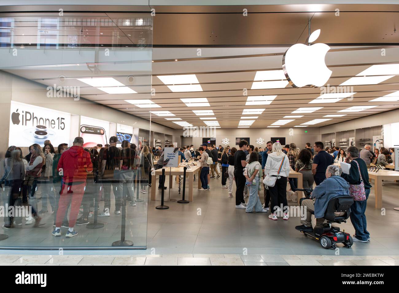 L'animato negozio di Apple al Millenia Mall. Foto Stock L'animato negozio di Apple al Millenia Mall. Foto Stock