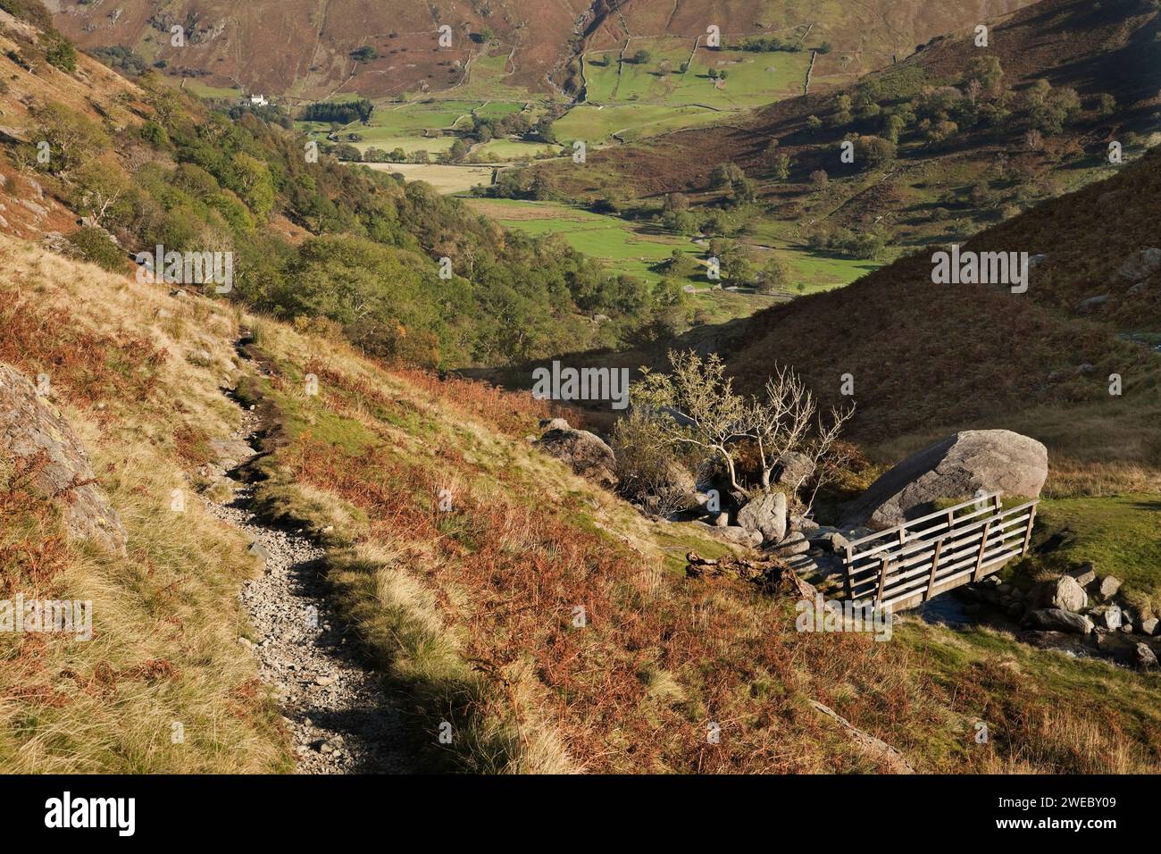 Dovedale e la Hartsop Valley nell'English Lake District Foto Stock