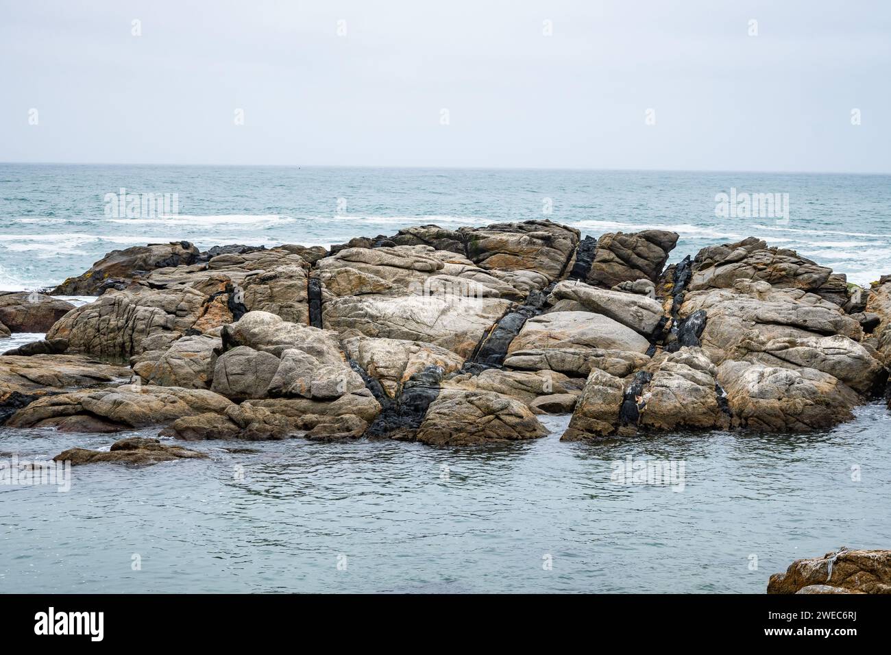 Vene di rocce ignee scure tagliano attraverso granito di colore chiaro nella costa del Cile centrale, Sud America. Foto Stock