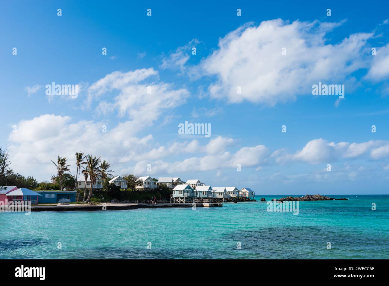 Sinfonia costiera delle Bermuda: Dove le acque azzurre incontrano i cieli vibranti, i paesaggi lussureggianti cullano le case affascinanti, creando un armonioso capolavoro dell'isola. Foto Stock