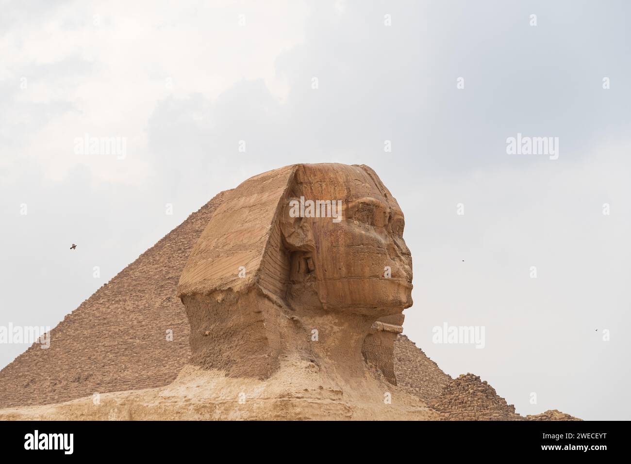 La Sfinge a Giza, Egitto: Un antico guardiano, simbolo dell'eredità faraonica, che si erge maestosamente sull'altopiano di Giza Foto Stock