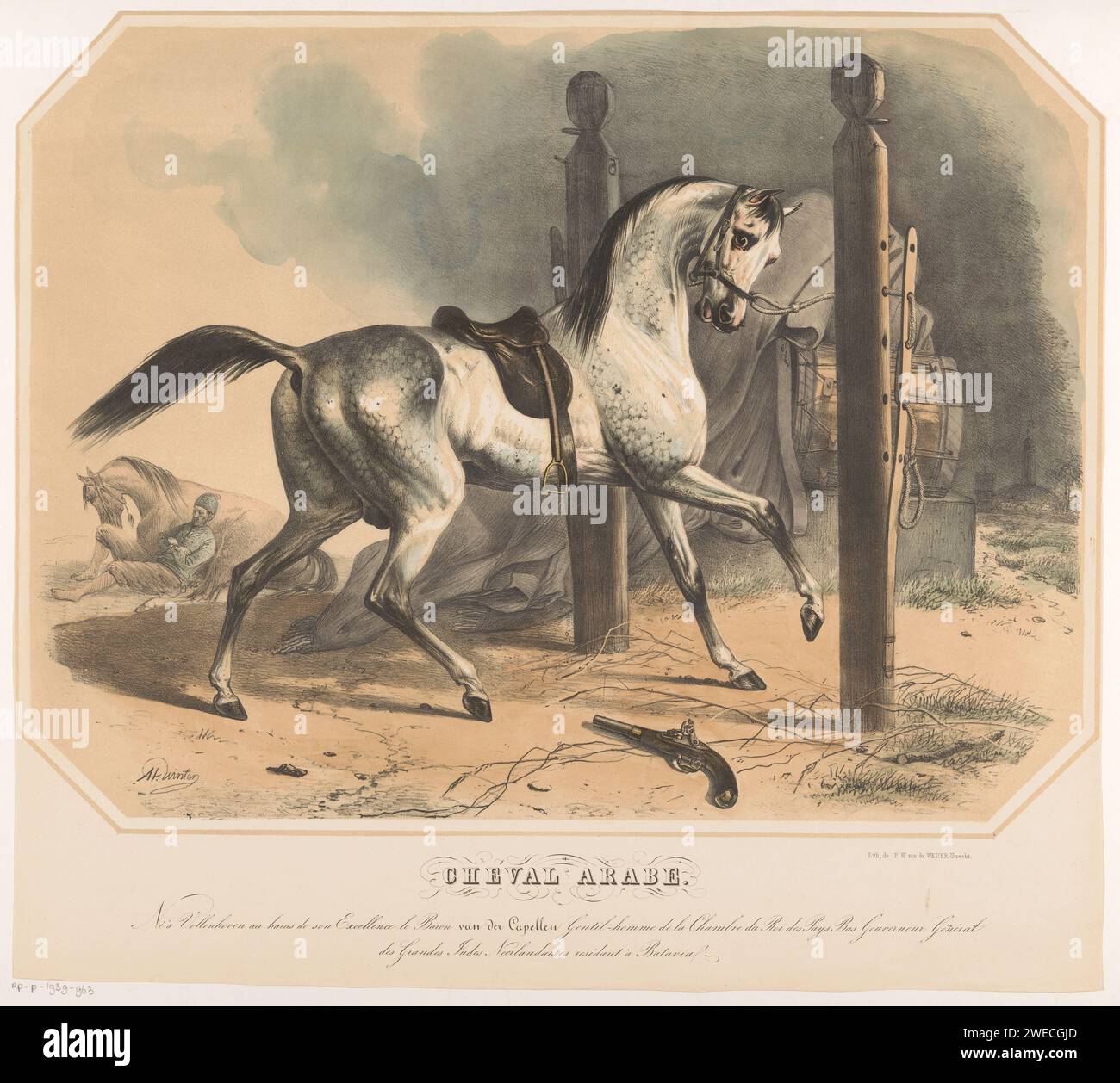 Arabian Horse Van Dert van der Capellen, Abraham Hendrik Winter, 1842 - 1861 stampa il cavallo ha una sella ed è attaccato al halter. A sinistra c'è un uomo contro un cavallo. C'è una pistola a terra. Sotto l'immagine un riferimento al proprietario del cavallo. Cavallo di carta di Utrecht. rottura in sella, briglia, ecc. - cavalli selvaggi. armi da fuoco Foto Stock