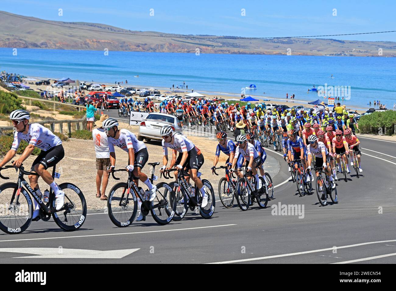 Piloti che gareggiano durante la 5a tappa del Tour Down Under 2024 ad Aldinga, ad Adelaide, Australia Foto Stock