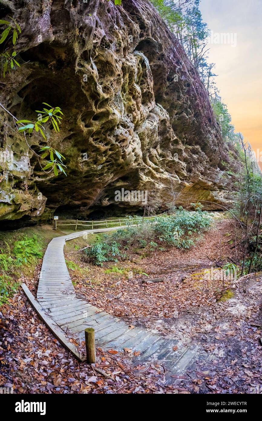 Hazard Cave Trail, formazione rocciosa presso il Big South Fork National River e area ricreativa in autunno Foto Stock