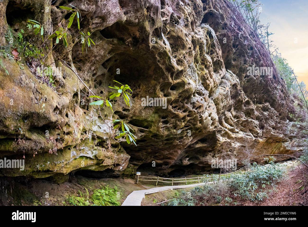 Hazard Cave Trail, formazione rocciosa presso il Big South Fork National River e area ricreativa in autunno Foto Stock