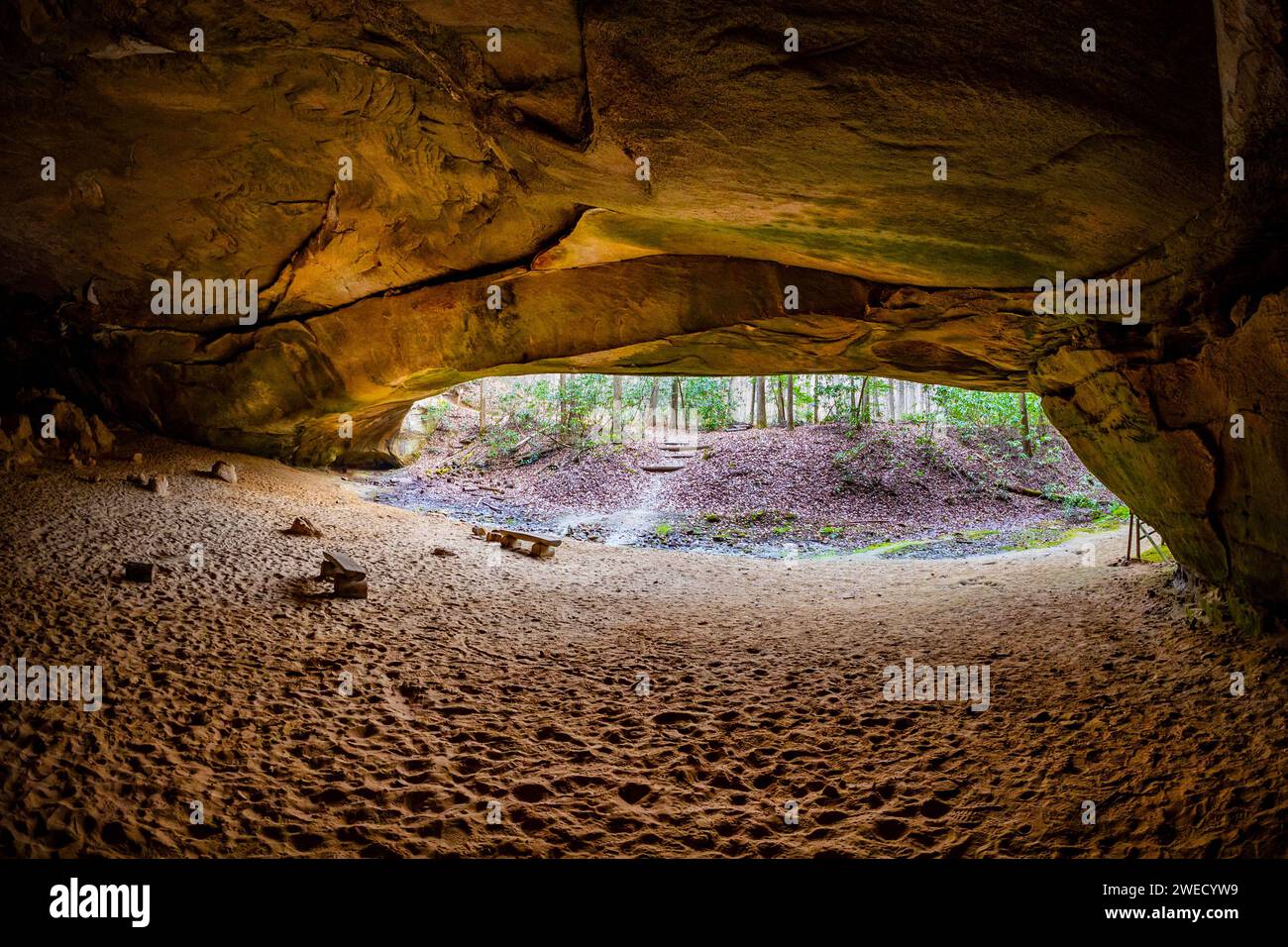 Hazard Cave Trail, formazione rocciosa presso il Big South Fork National River e area ricreativa in autunno Foto Stock