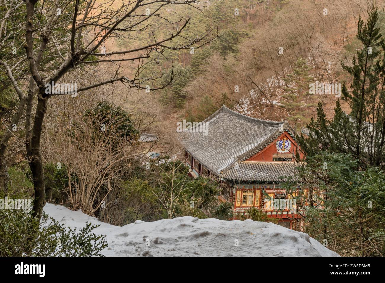 Paesaggio invernale dell'edificio del tempio di Guinsa sul fianco della montagna in Corea del Sud Foto Stock