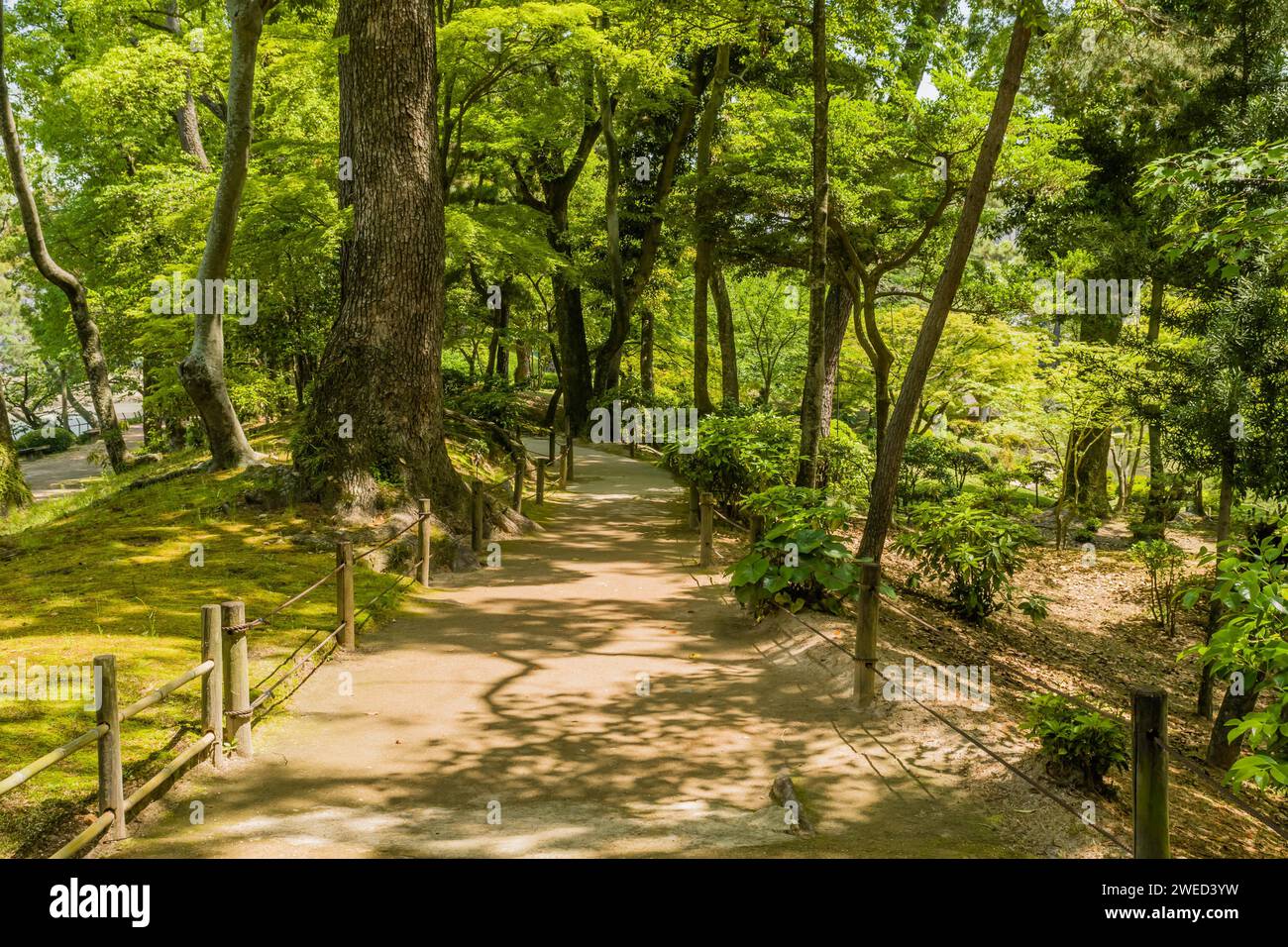 Sentiero per passeggiate in cemento attraverso il parco naturale giapponese di Hiroshima, Giappone Foto Stock