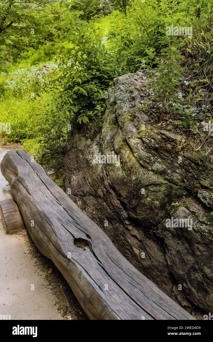 Panchina del parco realizzata in legno tagliato lungo sotto l'albero all'ombra accanto a un grande masso su un sentiero escursionistico nella foresta ricreativa della Corea del Sud Foto Stock