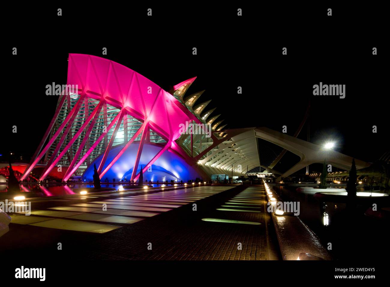 Museo della scienza - Prince-Felipe-Valencia-Spagna-Architect-Santiago-Calatrava Architecture Night shot Foto Stock