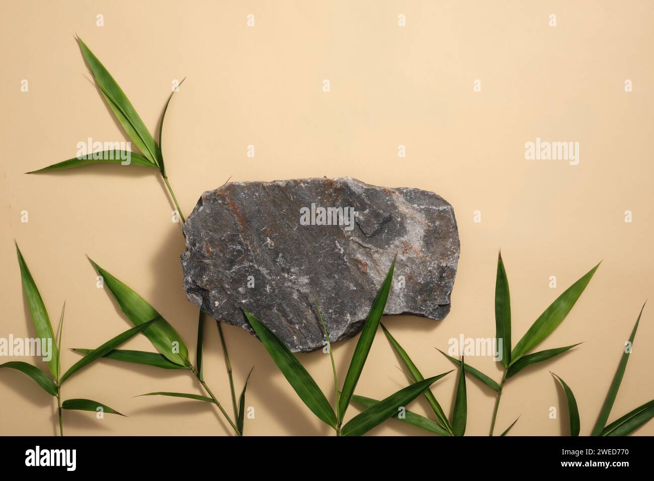 Un podio di pietra con molte foglie di bambù fresche. Il carbone di bambù attivo può contribuire a migliorare la consistenza e l'aspetto della pelle Foto Stock
