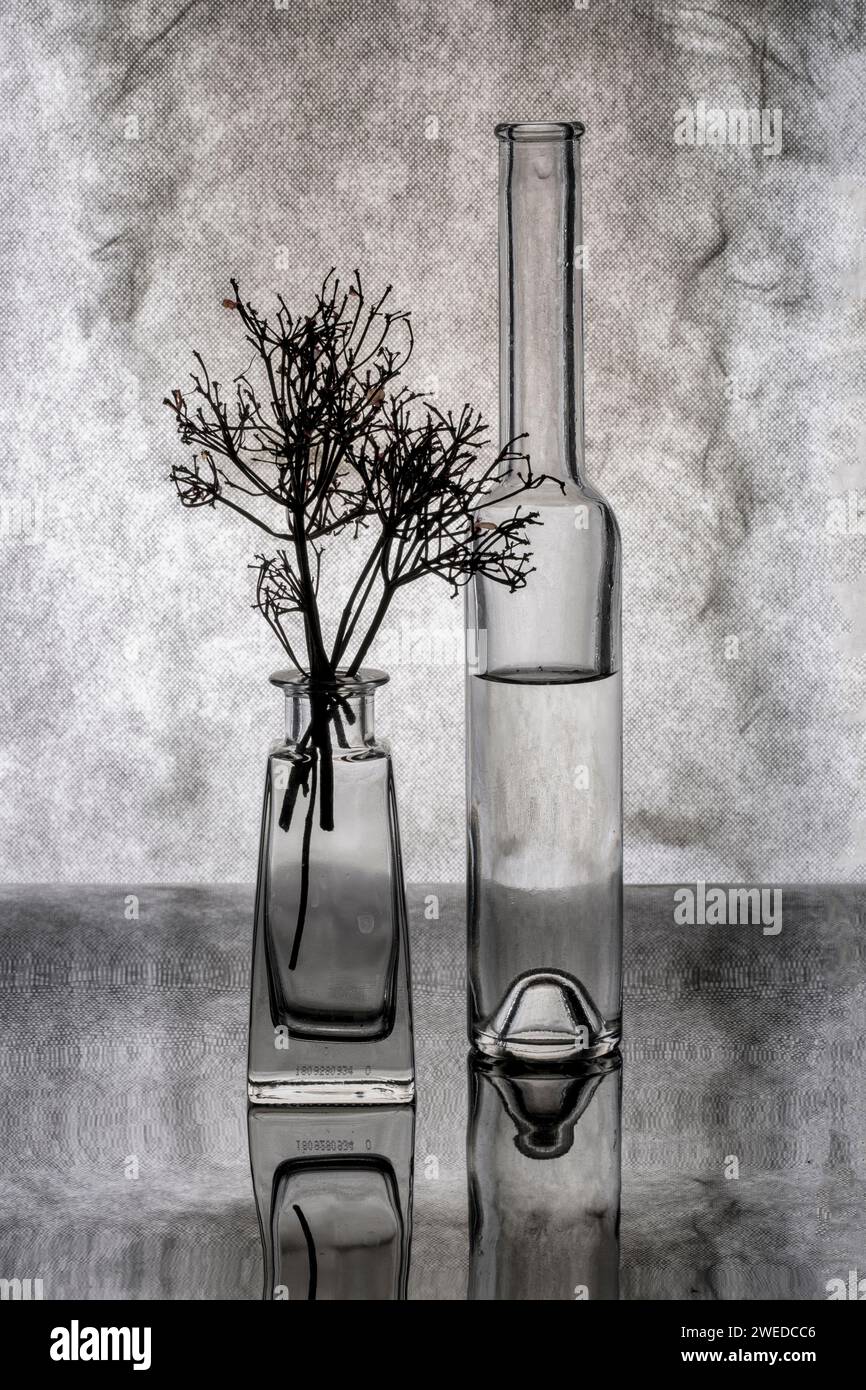 Natura morta con oggetti in vetro con riflesso Foto Stock