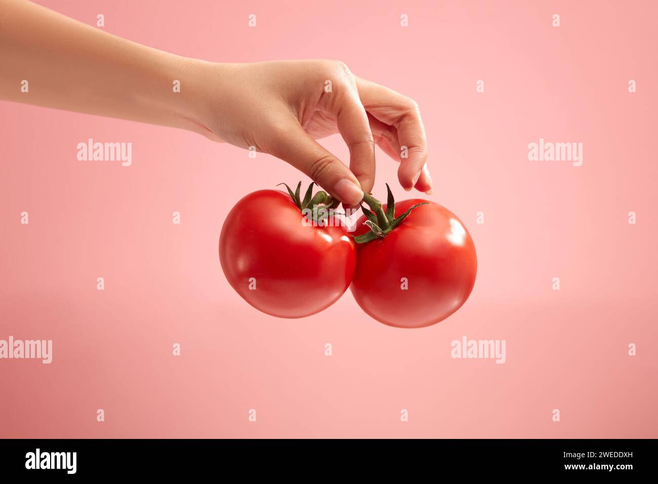 Su uno sfondo rosa chiaro, bel modello a mano che regge due pomodori rossi. Il pomodoro (Solanum lycopersicum) è molto utile nella produzione cosmetica come un Foto Stock