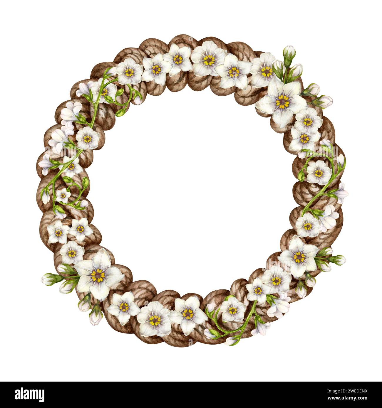 Mazzi d'acquerello di primrose bianche - Forget me-not fiori su una corona di vimini per Pasqua, matrimonio, Festa della donna, San Valentino, compleanno, madre Foto Stock