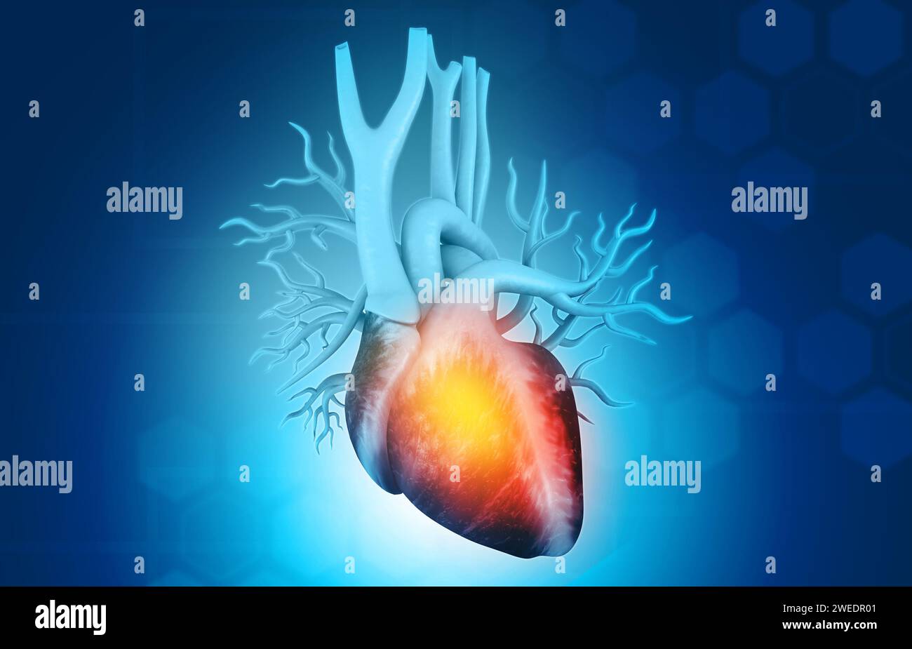 Anatomy of Human Heart in ambito scientifico. rendering 3d. Foto Stock