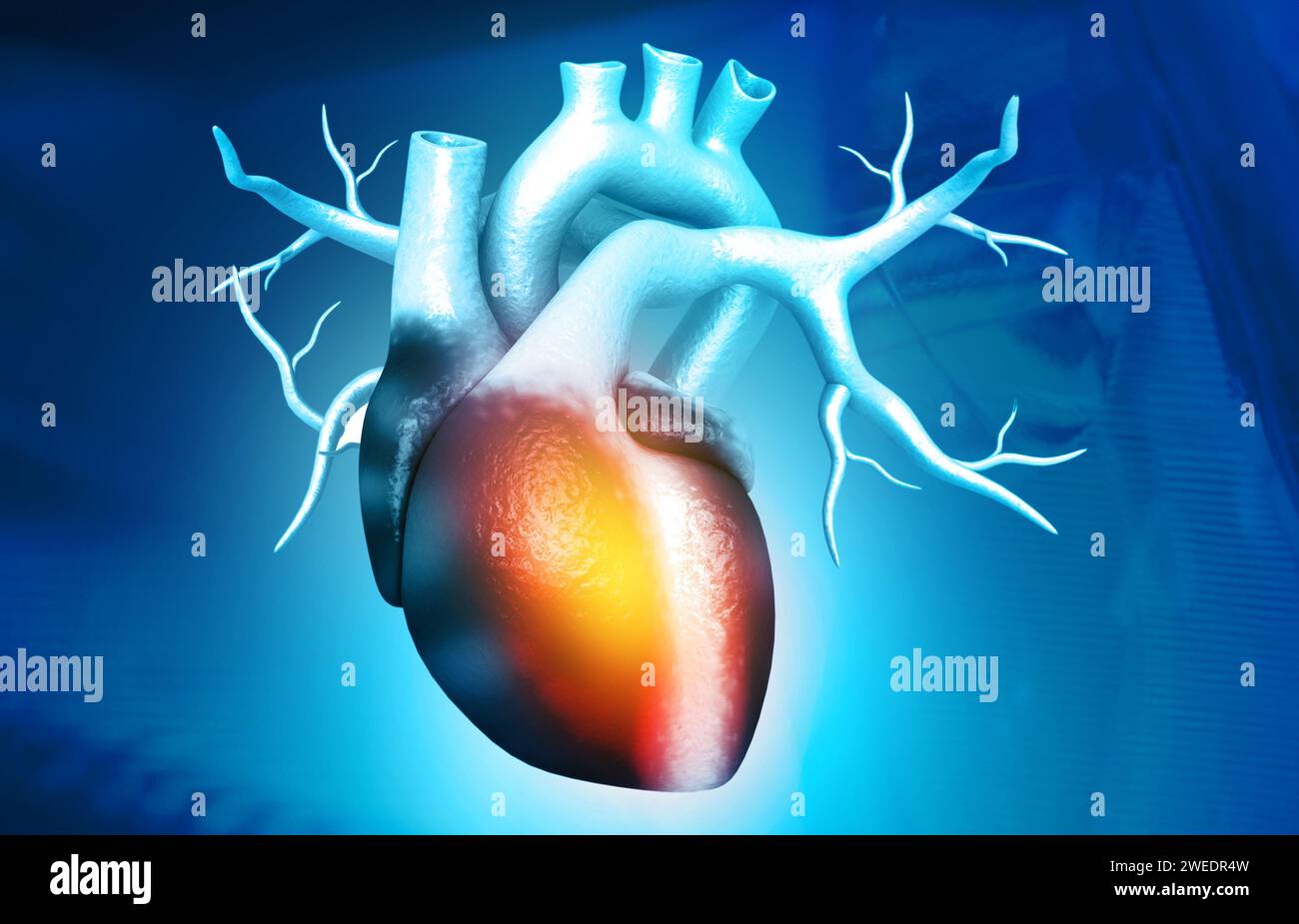 Anatomy of Human Heart in ambito scientifico. rendering 3d. Foto Stock