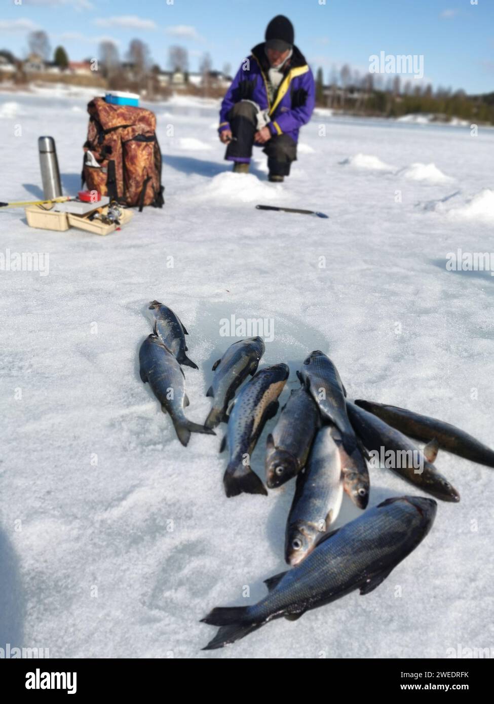 Pesca sul ghiaccio. Pesca invernale, pescare da solo un pesce nel nord della Svezia Foto Stock