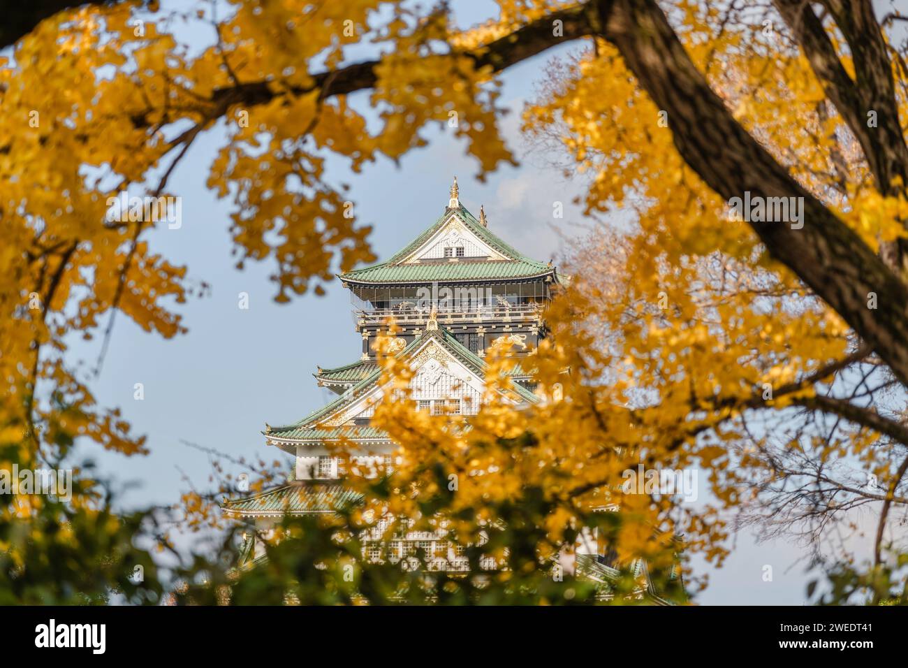 Castello di Osaka nella stagione autunnale, Osaka, Giappone. Foto Stock
