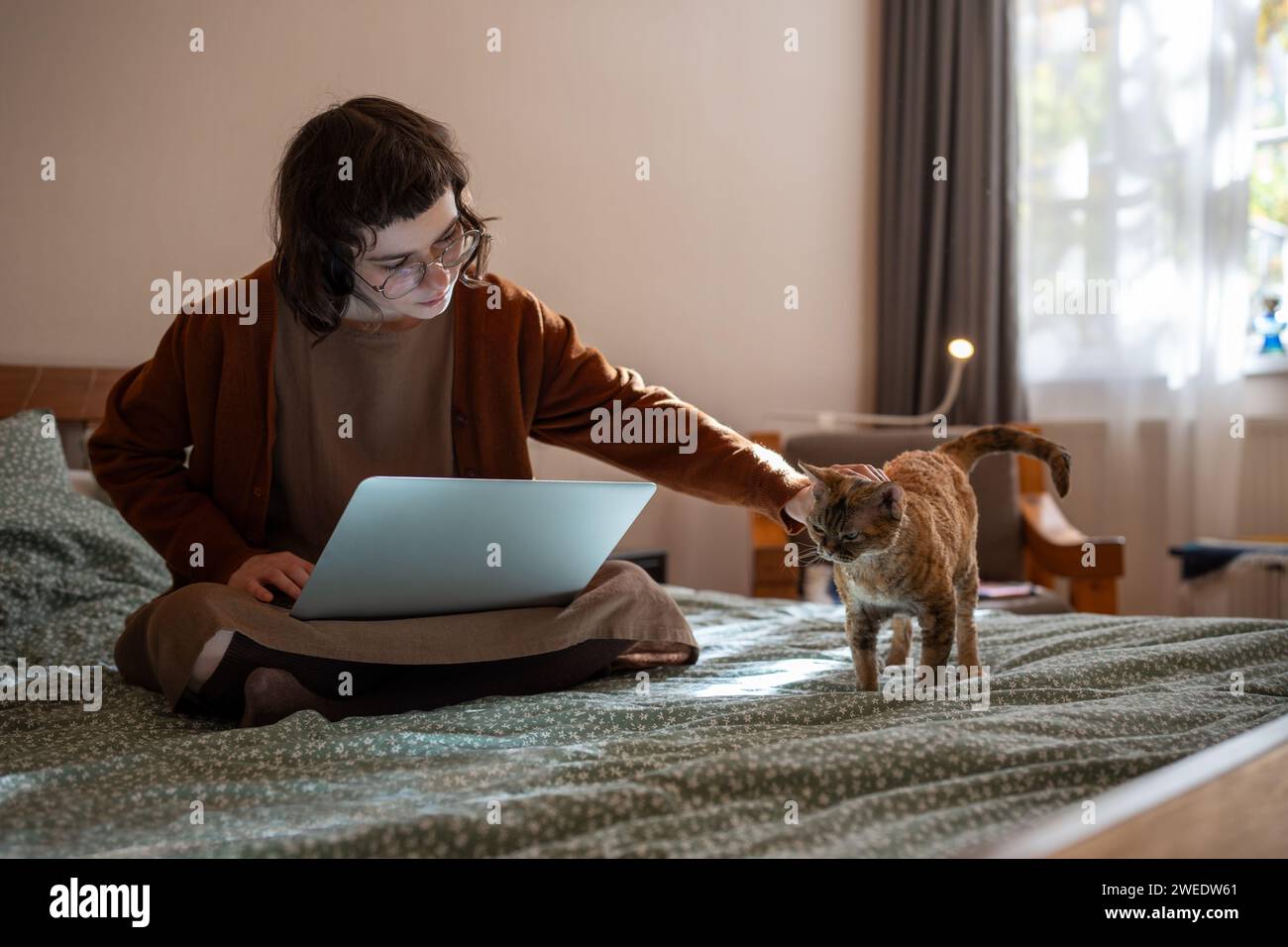 Studentessa adolescente che studia su un computer portatile seduto a letto a casa accarezzando il gatto domestico, distratta dal lavoro. Foto Stock