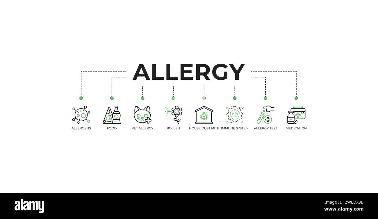 Banner per allergie: Concetto di illustrazione vettoriale con icone di allergeni, alimenti, allergie animali domestici, polline, acari della polvere, sistema immunitario, test di allergia Illustrazione Vettoriale