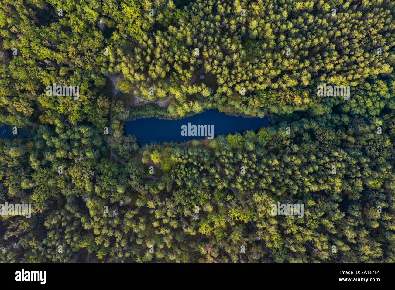 Lago nella foresta circondato da alberi verdi. Fotografia aerea di paesaggi. Foto Stock