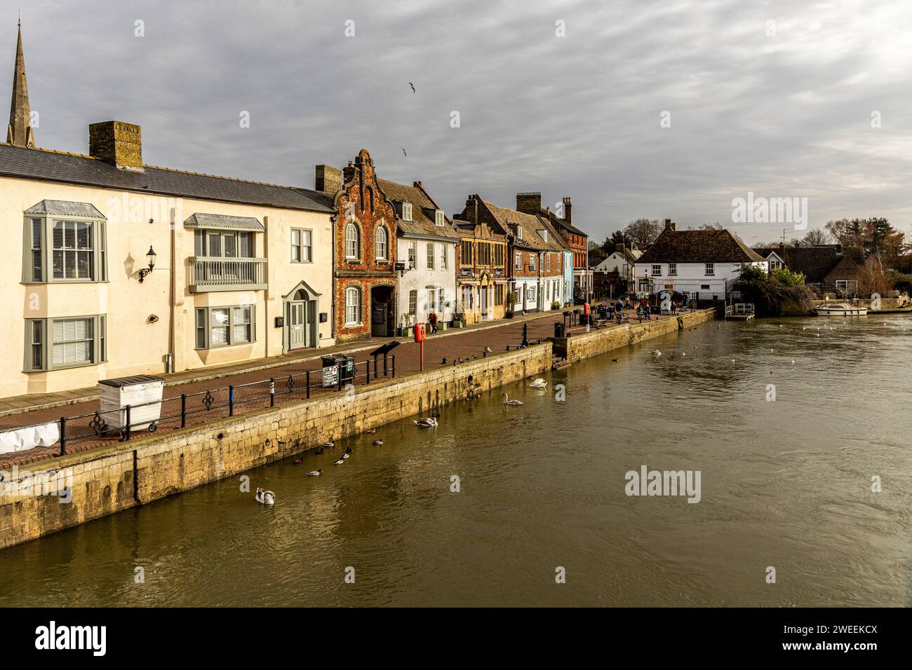 Il fiume Great Ouse a St Ives, Cambs Foto Stock