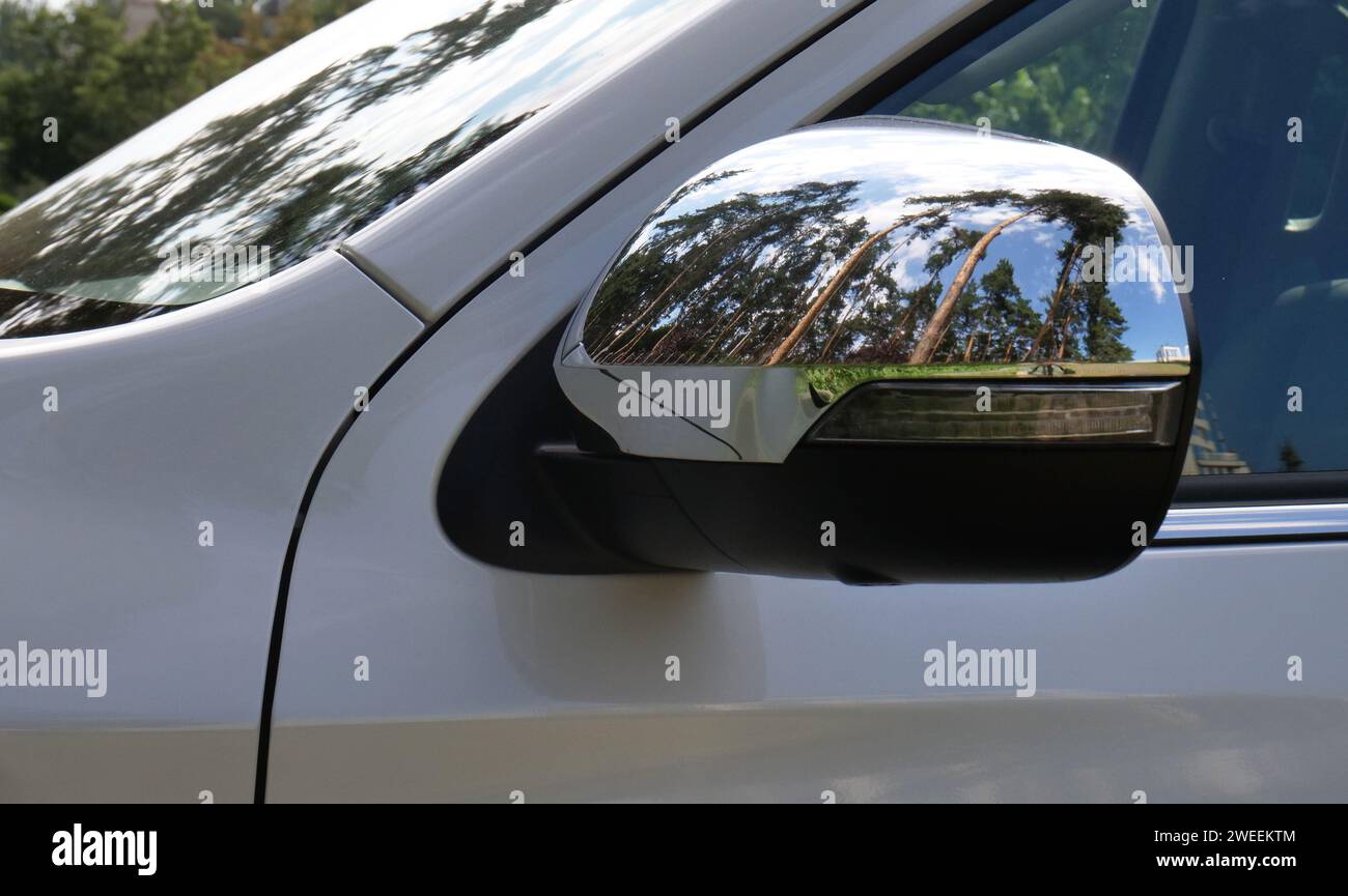 Gli alberi boschivi sono visibili nel riflesso distorto di uno specchio cromato per auto Foto Stock
