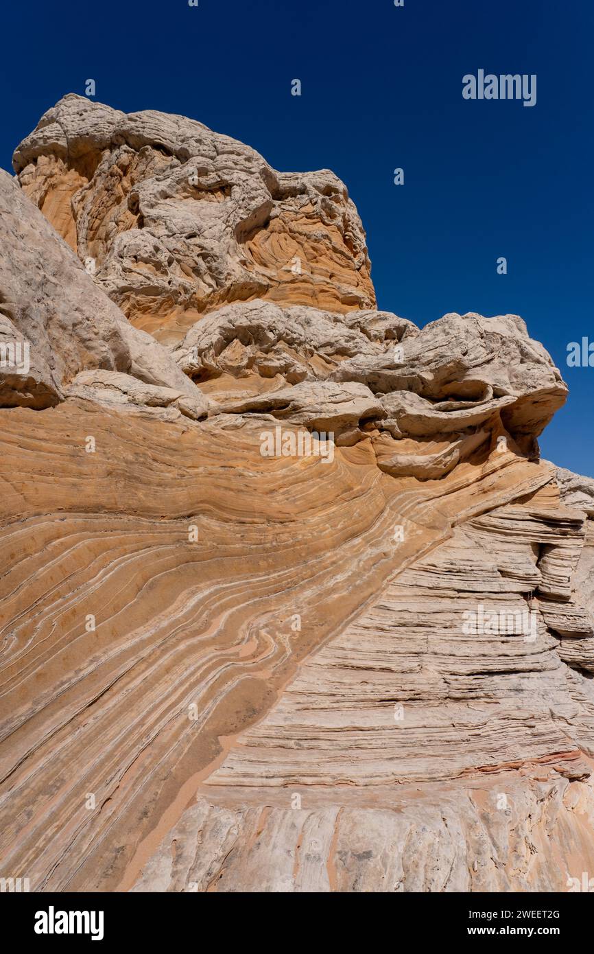 Arenaria Navajo erosa nella White Pocket Recreation area, Vermilion Cliffs National Monument, Arizona. In figura è illustrato un buon esempio di assestamento incrociato in Foto Stock