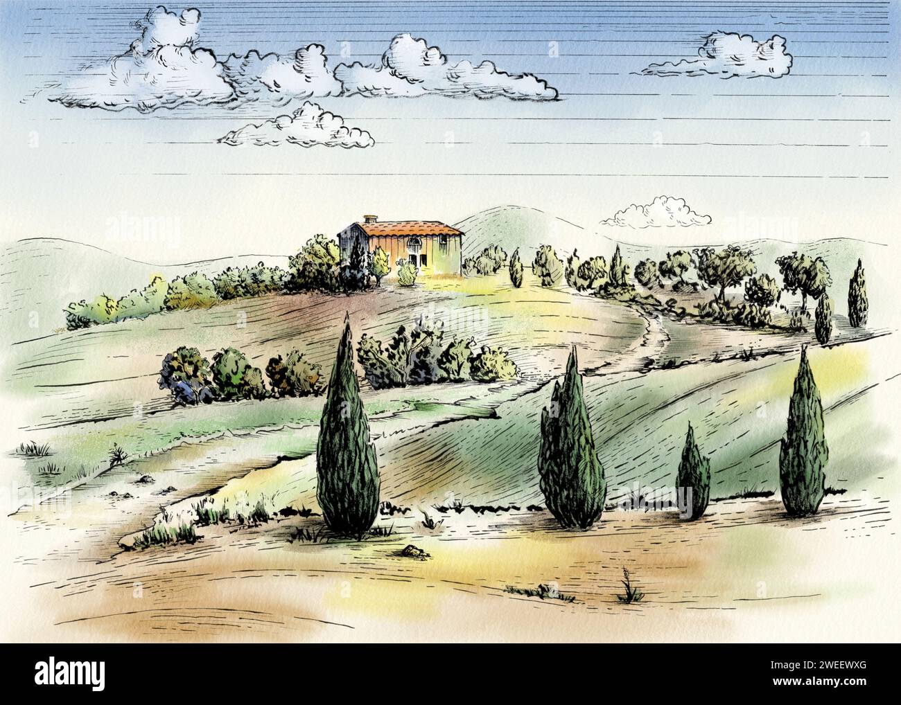 Disegno a inchiostro di un paesaggio rurale con un vigneto. Illustrazione tradizionale su carta, a colori digitali. Foto Stock