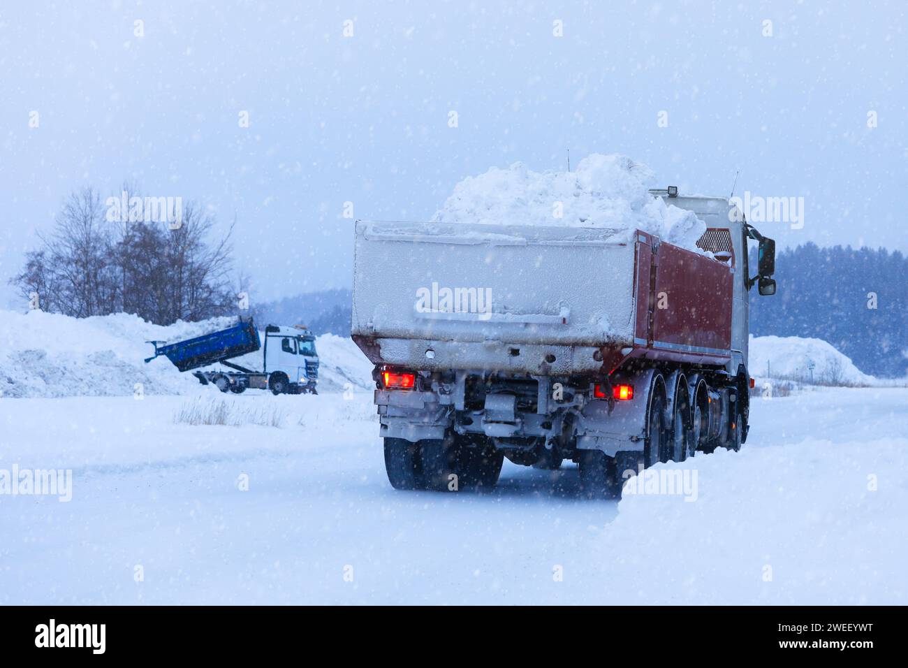 Autocarro ribaltabile che trasporta un carico di neve pulita lontano dalla città per lo scarico della neve nelle nevicate invernali, vista posteriore. In lontananza, un altro camion che sta scaricando. Foto Stock