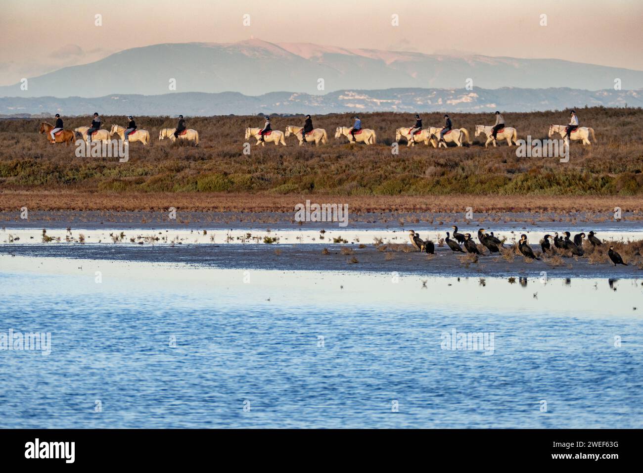 Un gruppo di persone a cavallo lungo un sentiero vicino a un lago Foto Stock