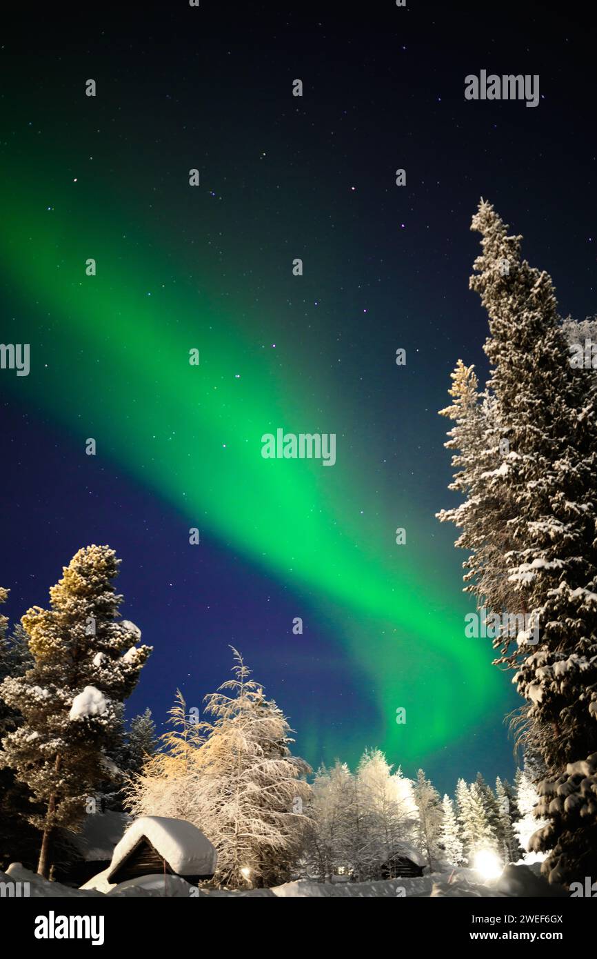 L'aurora boreale o aurora boreale con alberi innevati a Levi, nella regione finlandese della Lapponia. Foto Stock