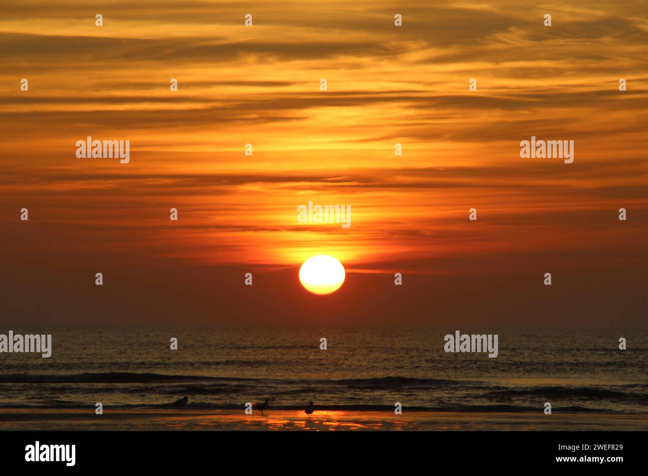 Tramonto sul mare di Wadden Foto Stock