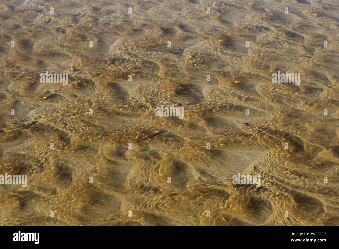 Acqua sulla spiaggia Foto Stock